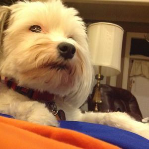 Meet your Posher, Steven